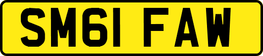 SM61FAW