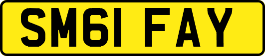 SM61FAY