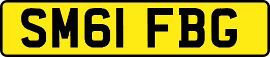 SM61FBG