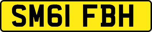 SM61FBH