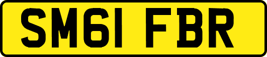 SM61FBR
