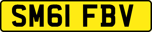 SM61FBV