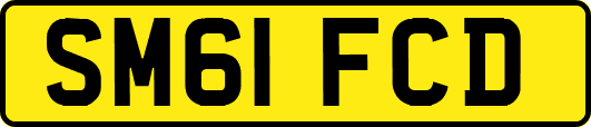 SM61FCD