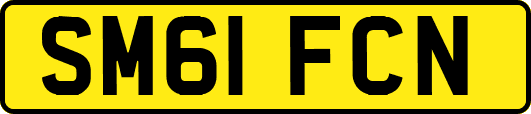 SM61FCN