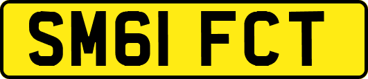SM61FCT