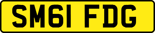 SM61FDG