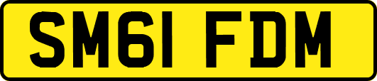 SM61FDM