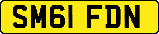 SM61FDN