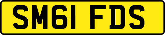 SM61FDS