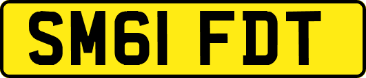 SM61FDT