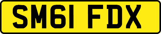 SM61FDX