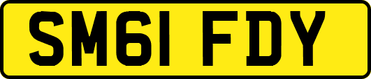 SM61FDY