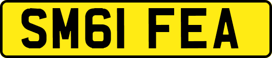 SM61FEA