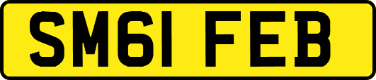 SM61FEB