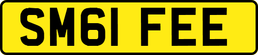 SM61FEE