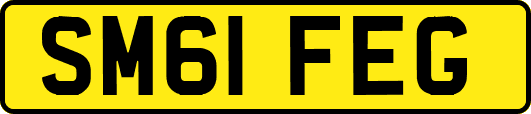 SM61FEG