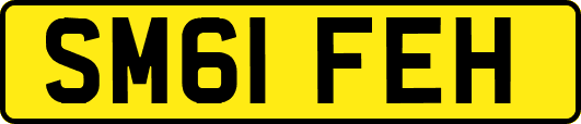 SM61FEH