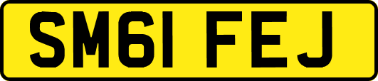 SM61FEJ