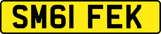 SM61FEK