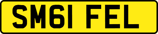 SM61FEL