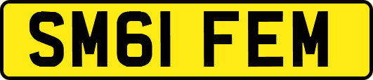 SM61FEM