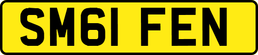SM61FEN