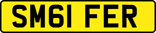 SM61FER