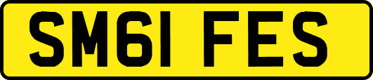 SM61FES