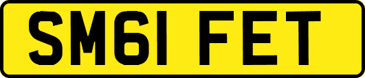 SM61FET