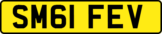 SM61FEV