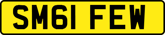 SM61FEW