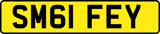 SM61FEY