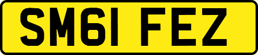 SM61FEZ