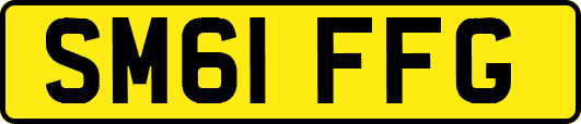 SM61FFG