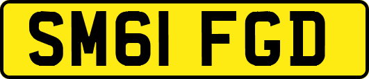 SM61FGD