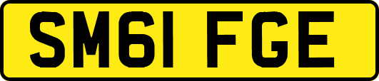 SM61FGE