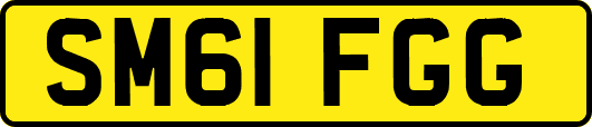 SM61FGG