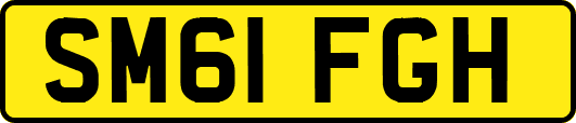 SM61FGH