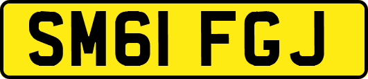 SM61FGJ