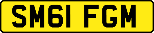 SM61FGM