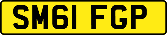 SM61FGP