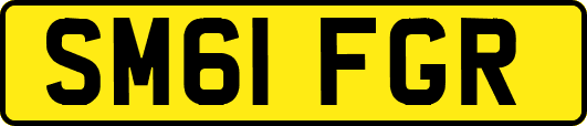 SM61FGR
