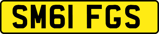 SM61FGS