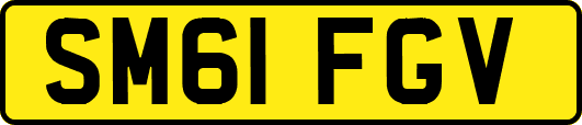 SM61FGV