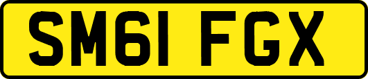 SM61FGX