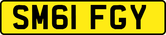 SM61FGY