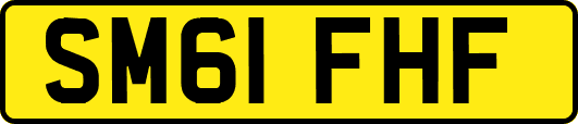 SM61FHF