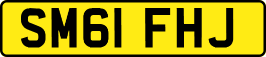 SM61FHJ