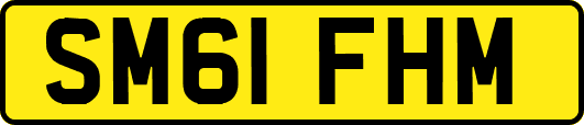 SM61FHM