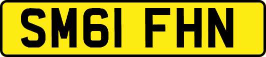 SM61FHN